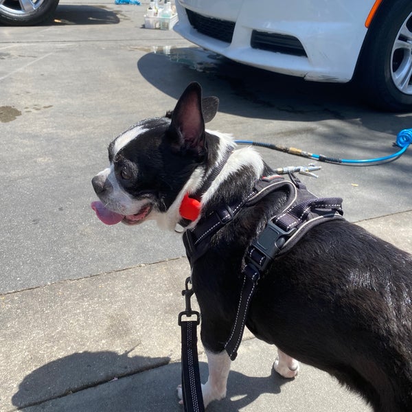 Playa Vista Car Wash Car Wash and Detail in Los Angeles