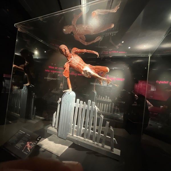Photo taken at Body Worlds by Mjeed .. on 7/23/2022