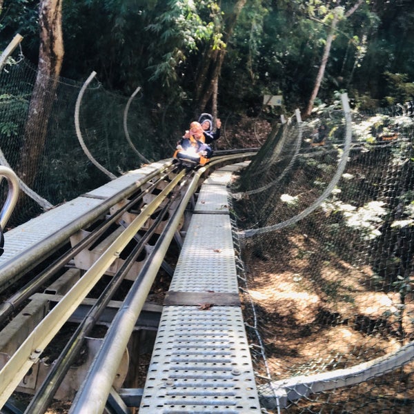 Alpine Coaster