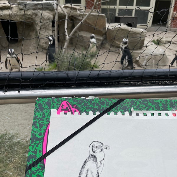 รูปภาพถ่ายที่ Zoo Antwerpen โดย Cato B. เมื่อ 5/5/2022