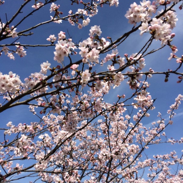 Photos At さんぴーの出雲 Government Building In 出雲市