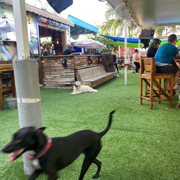 รูปภาพถ่ายที่ Dog Bar Saint Pete โดย New Port Richey’s Guru Bill Z. เมื่อ 9/22/2020