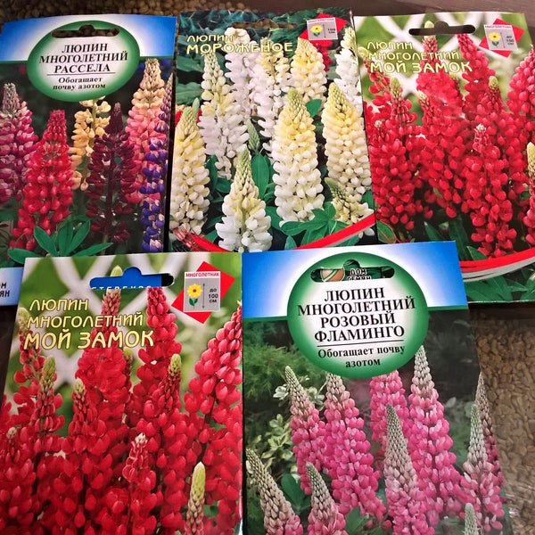 Семена В Спб И Ленобласти Купить