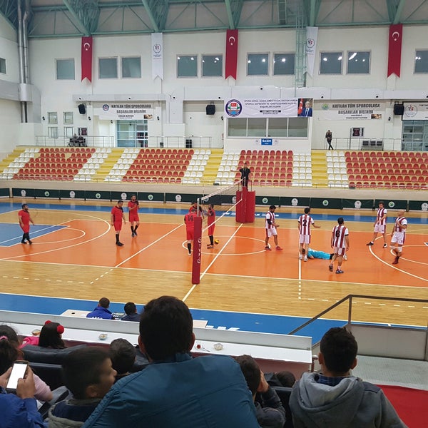 arena bilgisayar mahkeme sushi oyunu