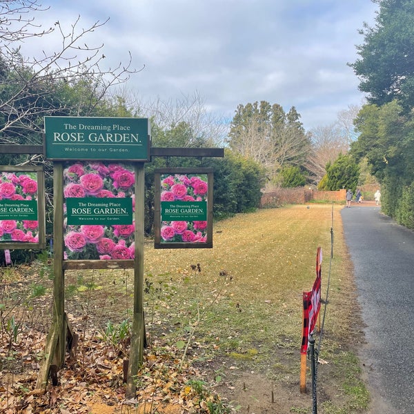 Fotos En ドリプレ ローズガーデン 君津市 千葉県