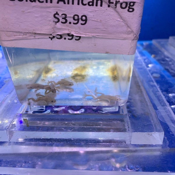 6th ave aquarium discount