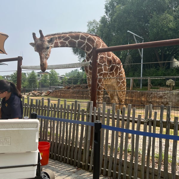 Foto tomada en Zoo Atlanta  por Kimmie O. el 7/17/2023