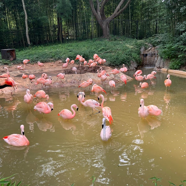 Foto tirada no(a) Zoo Atlanta por Kimmie O. em 7/17/2023