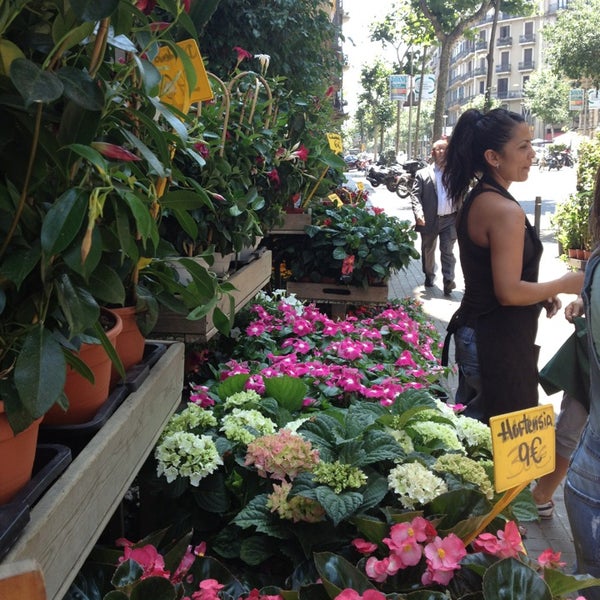 Floristeria Navarro - La Dreta de l'Eixample - Barcelona ...