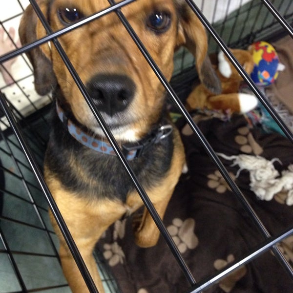 Feeders Supply Pet Supplies Store in East Louisville