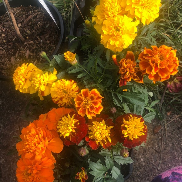 The Home Depot Hardware Store in Nanaimo