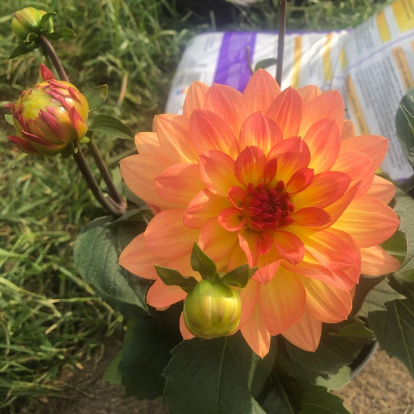 The Home Depot Hardware Store in Nanaimo