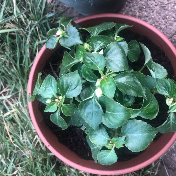 The Home Depot Hardware Store in Nanaimo