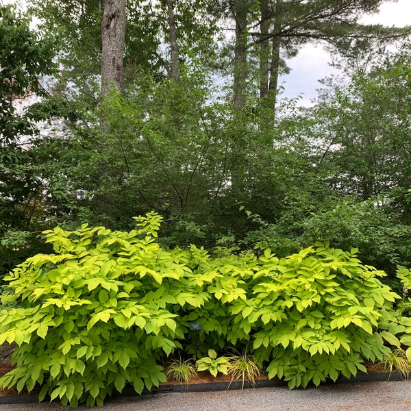 Photo taken at Coastal Maine Botanical Gardens by Iris H. on 7/6/2021