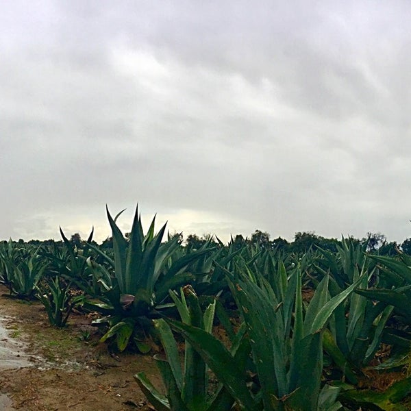 Nanacamilpa Neighborhood in México