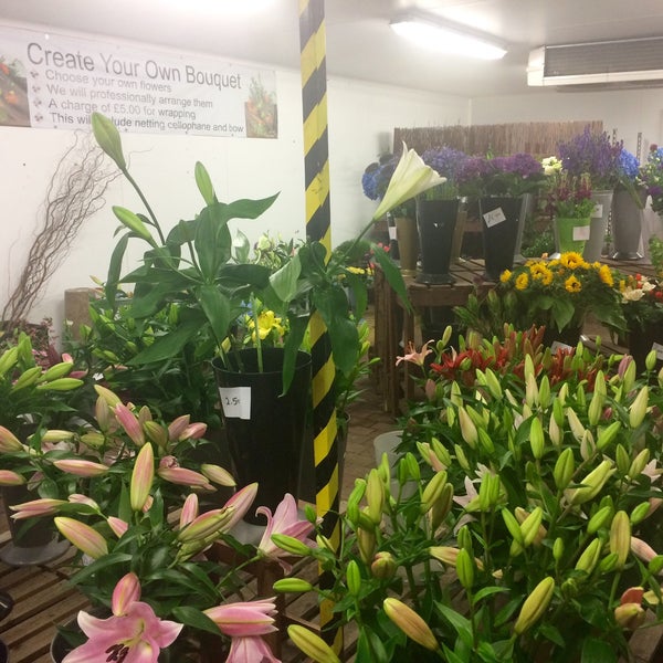 Hampsons Garden Centre Wakefield Fasci Garden