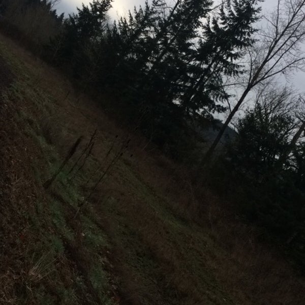 Bigfoot Growlers Beer Garden