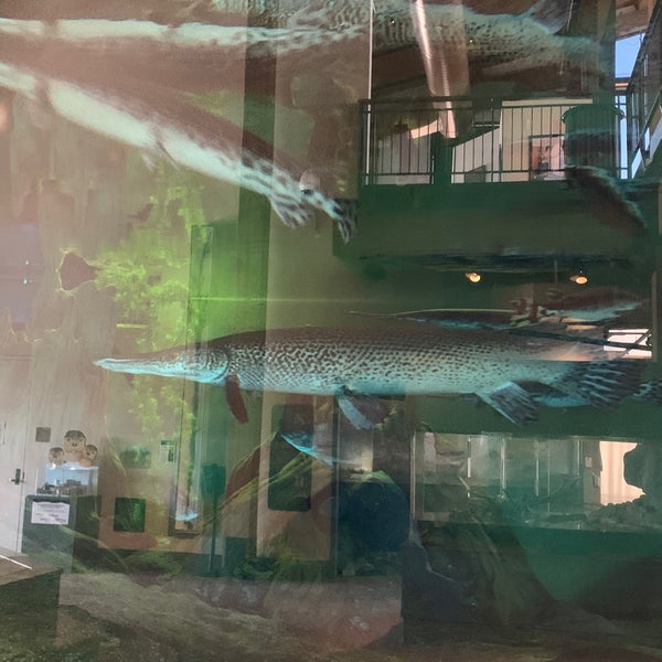 3/8/2022にKota Y.がNational Mississippi River Museum &amp; Aquariumで撮った写真