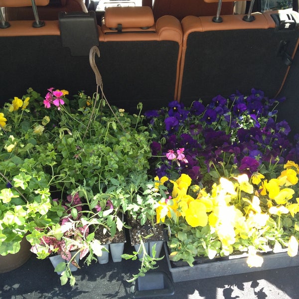 Photos at Produce Junction Wynnefield 9 tips