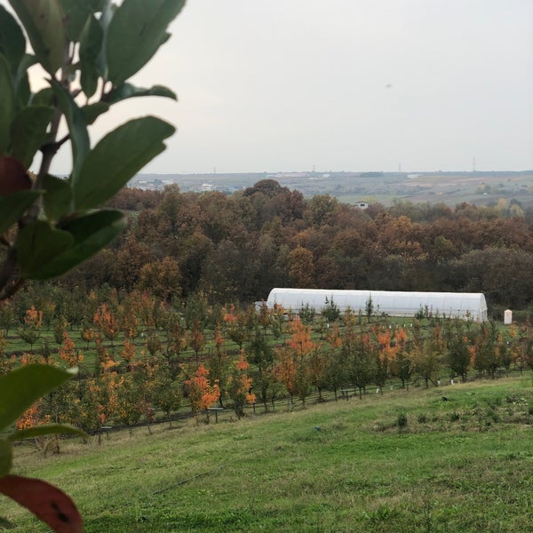 photos at bakucha vineyard hotel spa hotel in luleburgaz