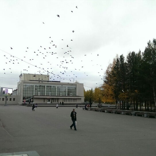 полярный 1 5