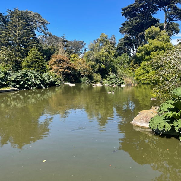 7/25/2023 tarihinde Paul D.ziyaretçi tarafından San Francisco Botanical Garden'de çekilen fotoğraf