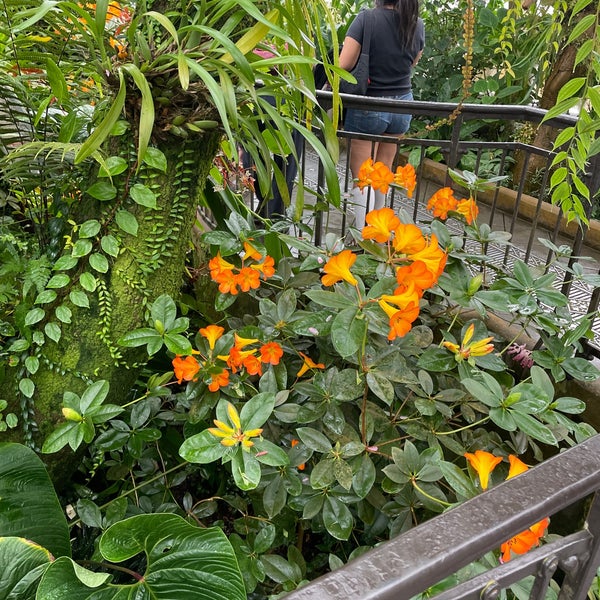Photo taken at Conservatory of Flowers by Paul D. on 7/24/2023