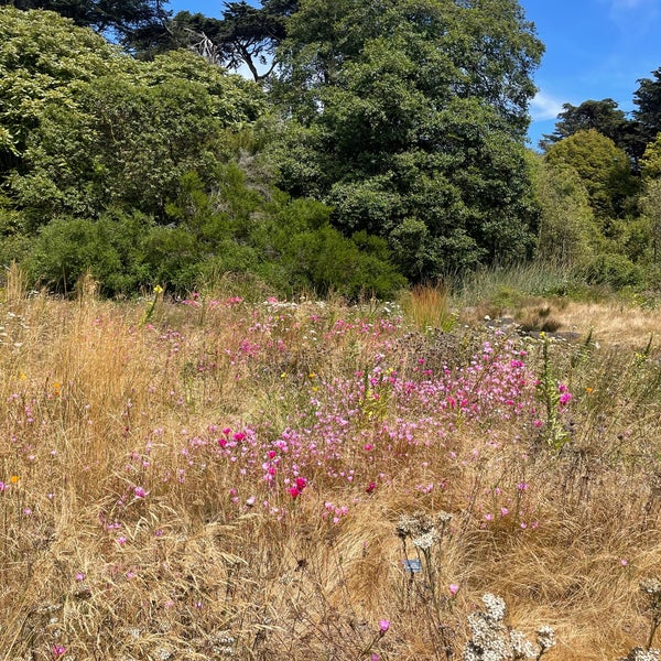 Foto diambil di San Francisco Botanical Garden oleh Paul D. pada 7/25/2023