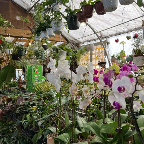 The space of this plant shop is large enough that you can find almost everything here. Staff is very friendly and helpful. So much to see and learn that it feels like going into a botanic garden.