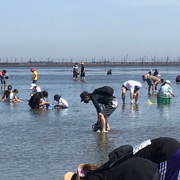 Photos At 富津海岸潮干狩り場 5 Tips From 359 Visitors