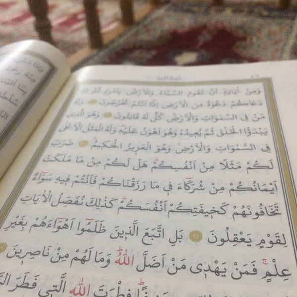 Said c. Said c. Предложения с словом nasty. Said c. Азнаур.