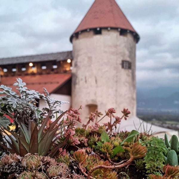 รูปภาพถ่ายที่ Blejski Grad | Bled Castle โดย Hadeel เมื่อ 10/31/2023