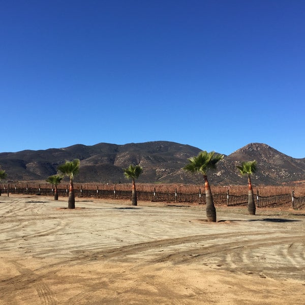 Photo taken at Vinicola Émeve - De los mejores vinos del Valle de Guadalupe by Edgar C. on 12/29/2015