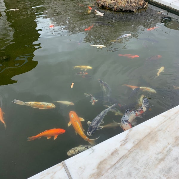 รูปภาพถ่ายที่ University of Pennsylvania Museum of Archaeology and Anthropology โดย Bre N. เมื่อ 3/27/2022