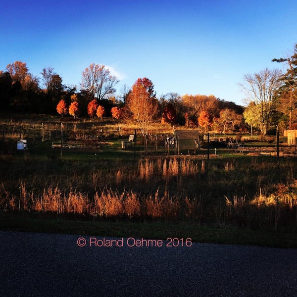 Photos at Cromwell Valley Park Park