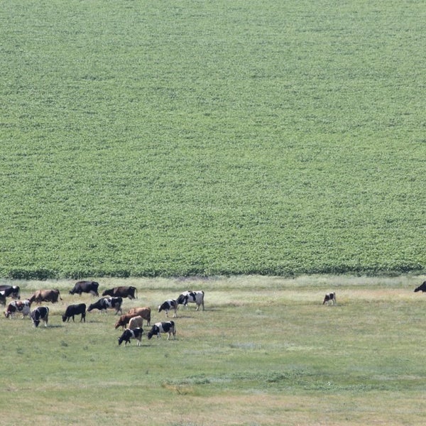 давыдовка приволжский. давыдовка приволжский. приволжский район село давыдовка. самарская область приволжский р-н с приволжье. давыдовка.