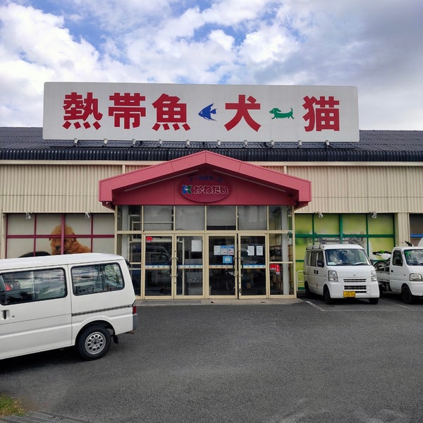 かねだい 海老名店 Pet Shop Em 海老名市