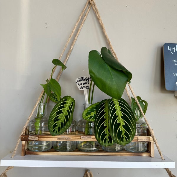 Liberty Lake Juice Company Juice Bar in Riverside