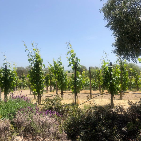 Photo taken at Ram&#39;s Gate Winery by Chrissy M. on 4/28/2019