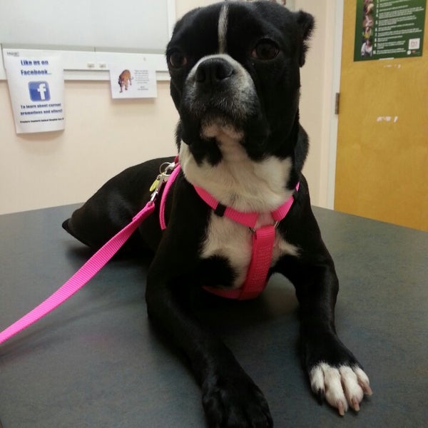 Photos At Creature Comforts Animal Hospital Veterinarian
