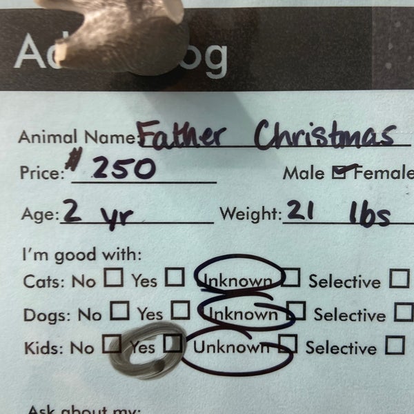 Photos at Kentucky Humane Society East Campus Animal Shelter in