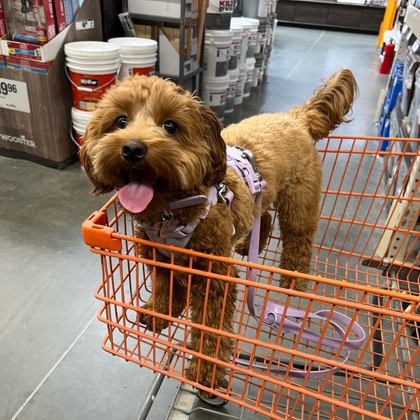 The Home Depot Woodbury 4 tavsiye