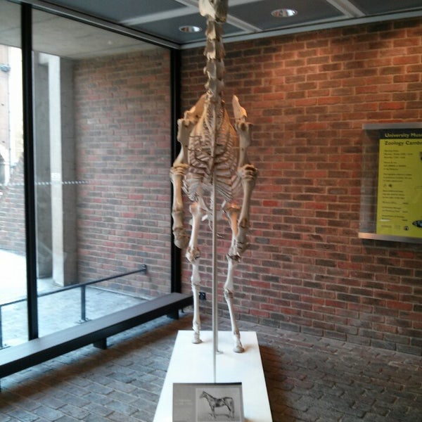 Photo taken at Cambridge University Museum Of Zoology by leonid m. on 4/19/2013