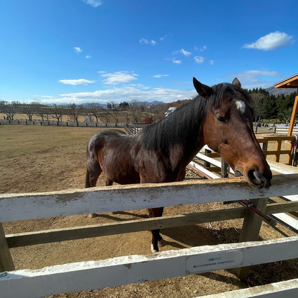 Photos At ひるがの高原 牧歌の里 高鷲町鷲見2756 2