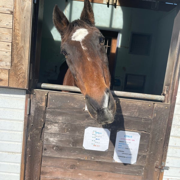 Photos At ひるがの高原 牧歌の里 高鷲町鷲見2756 2