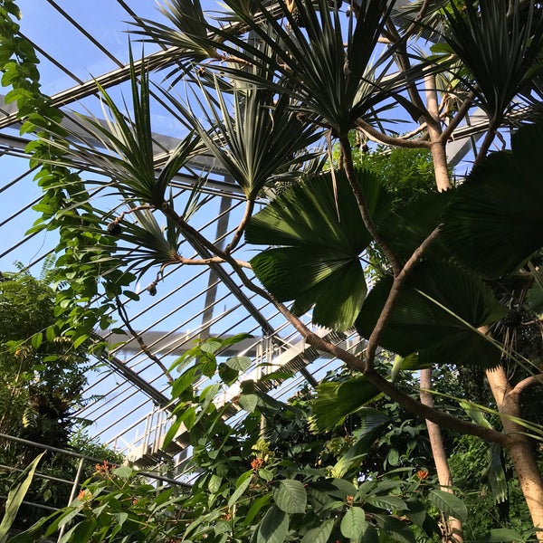 Tropenschauhaus Botanical Garden In Hamburg