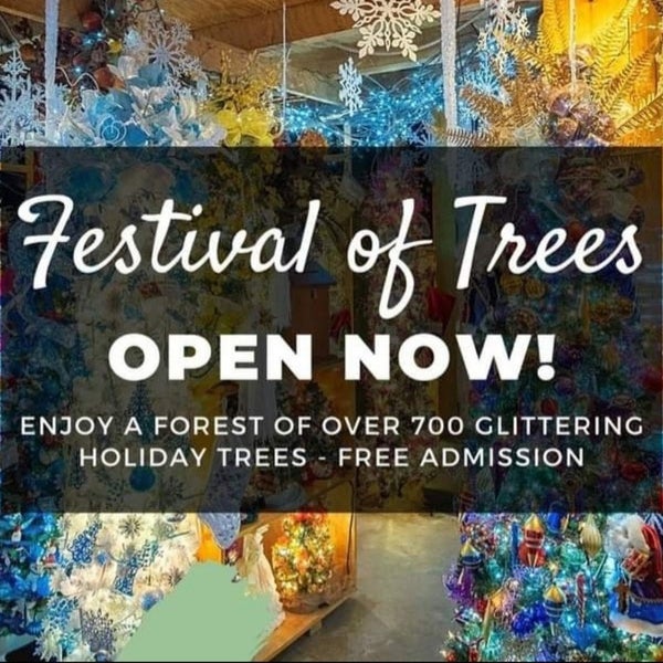 The festival of trees is going on right now