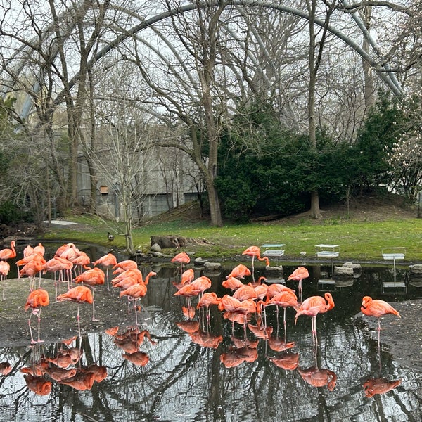 Foto tirada no(a) Bronx Zoo por Lauren em 3/26/2024