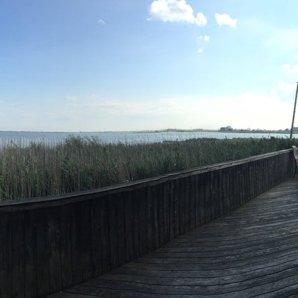 Mastic Beach Village 235 visitors