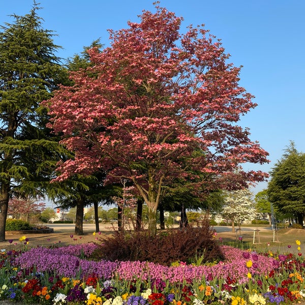 西大寺緑化公園 百花プラザ Okayama 岡山県